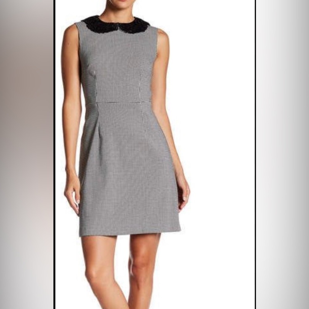 Betsey Johnson Black and White Mini Stretch Dress Lace collard Size 12